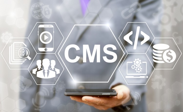 Hệ thống CMS gồm 3 loại chính là: CMS mã nguồn mở, CMS tự code, CMS dựng sẵn