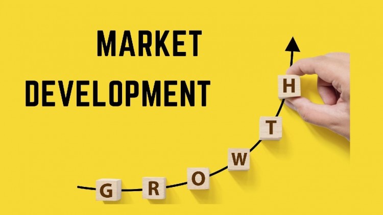 Phát triển thị trường (Market Development) là chiến lược quan trọng trong ma trận AnsoffPhát triển thị trường (Market Development) là chiến lược quan trọng trong ma trận Ansoff