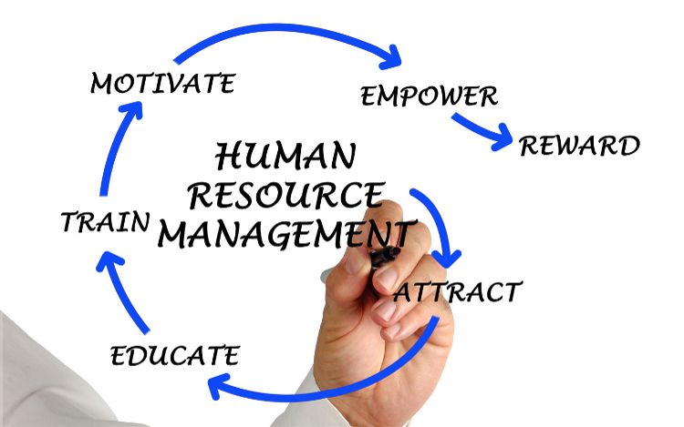 Quản trị nguồn nhân lực (Human Resource Management - HRM)
