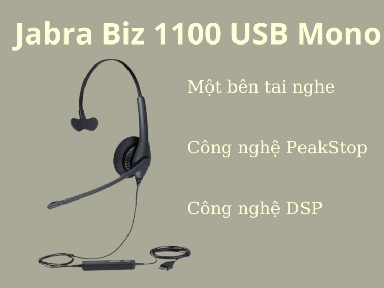 Tai nghe đàm thoại Jabra Biz 1100 USB Mono