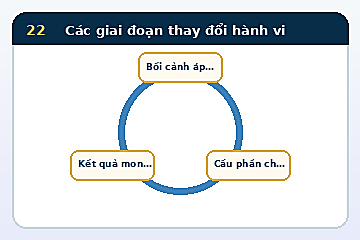 Minh họa cấu trúc Mô hình Các giai đoạn thay đổi hành vi